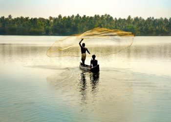 Experts unveil steps to raise fish output, provide food security