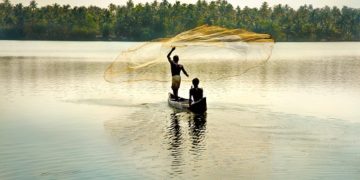 Experts unveil steps to raise fish output, provide food security
