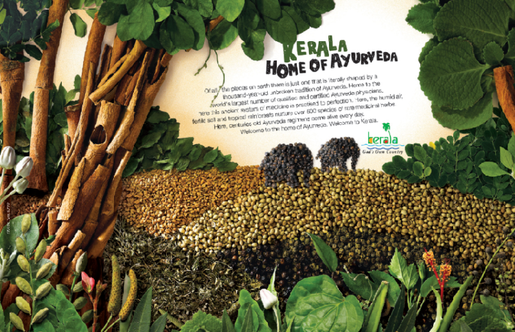 Western Ghats to Propel Kerala as Global hub for Ayurveda